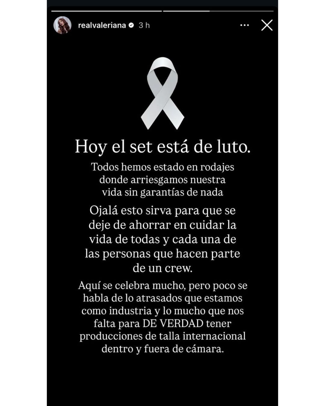 "Hoy el set está de luto" escribió la actriz Valeria Emiliani. | Fuente: Instagram/elheraldoco