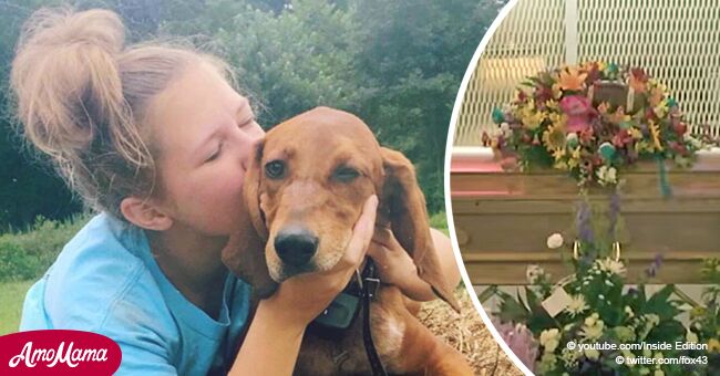 Chica de 12 años asesinada intentando salvar a su perrito finalmente fue enterrada con él