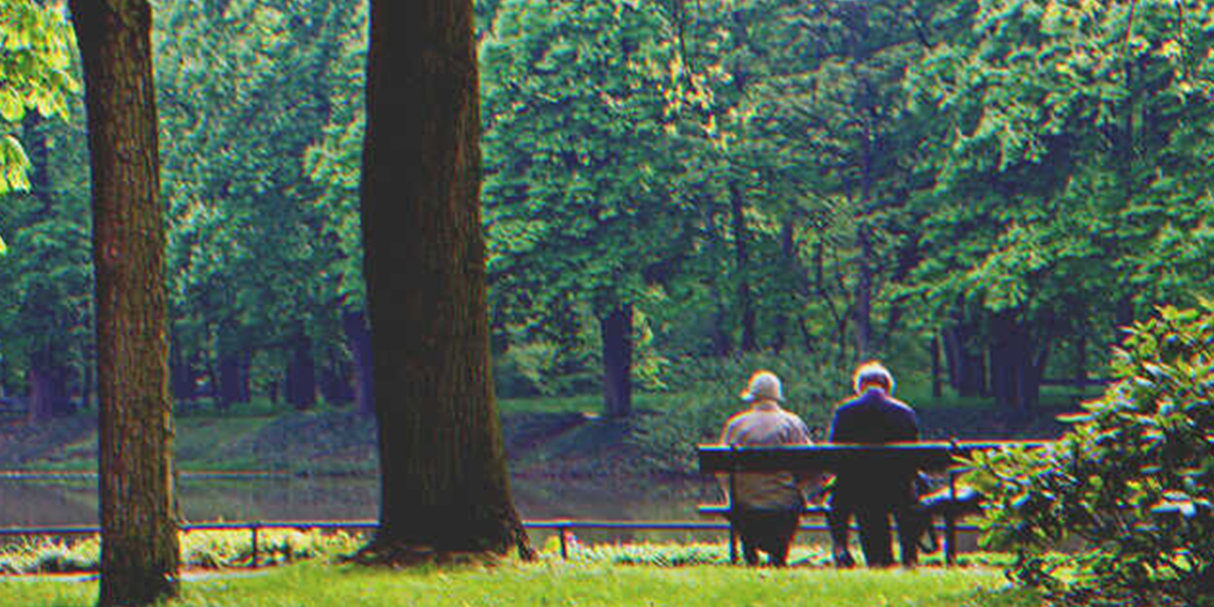 Una pareja sentada en un banco en un parque | Foto: Shutterstock
