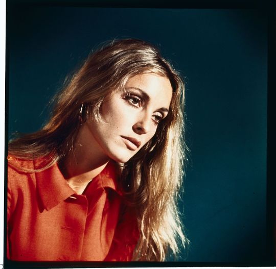 Sharon Tate. | Imagen: Getty Images