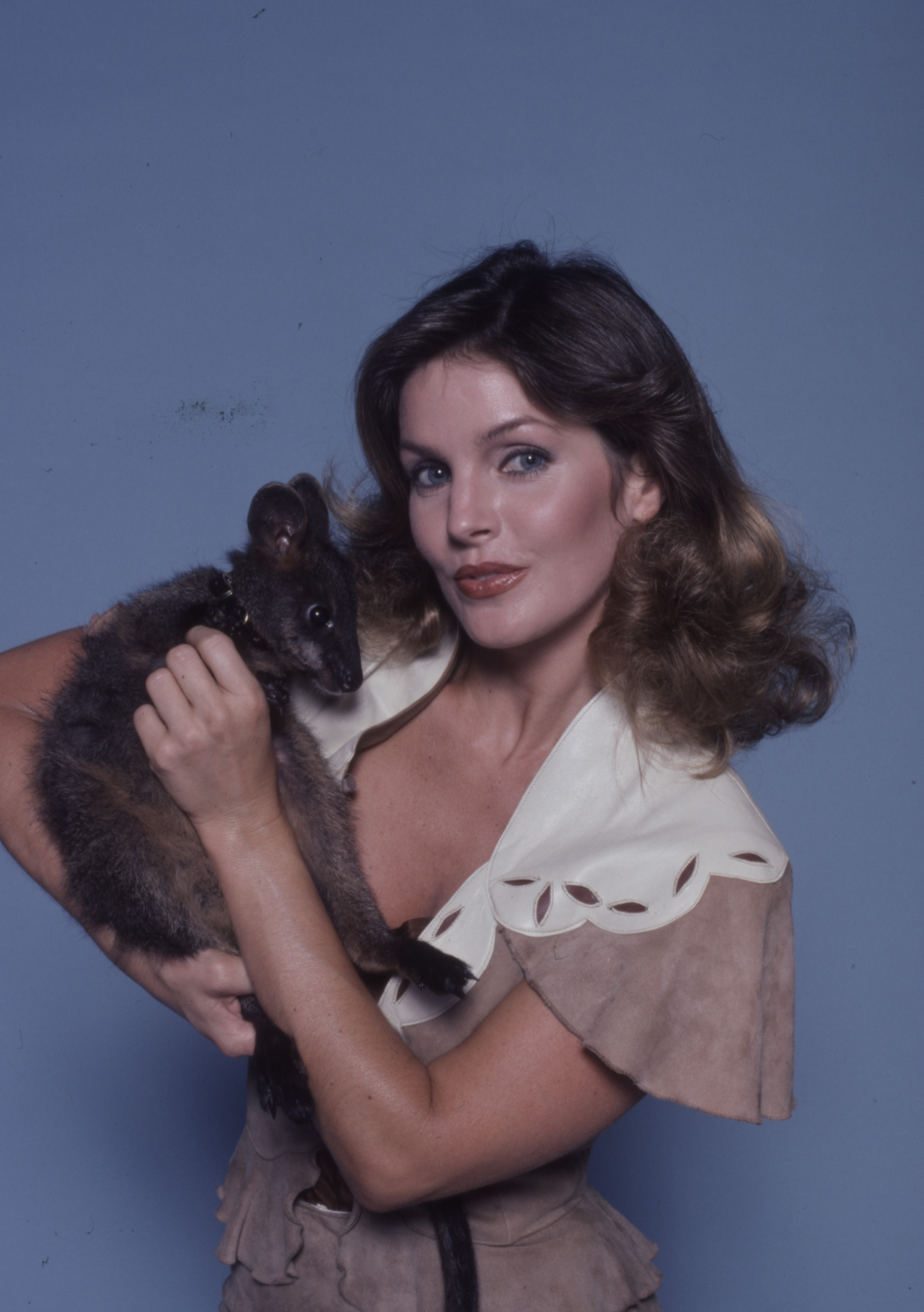 Foto promocional de Priscilla Presley para la serie de televisión de ABC "Those Amazing Animals" en Los Ángeles, California, en 1980. | Foto: Getty Images
