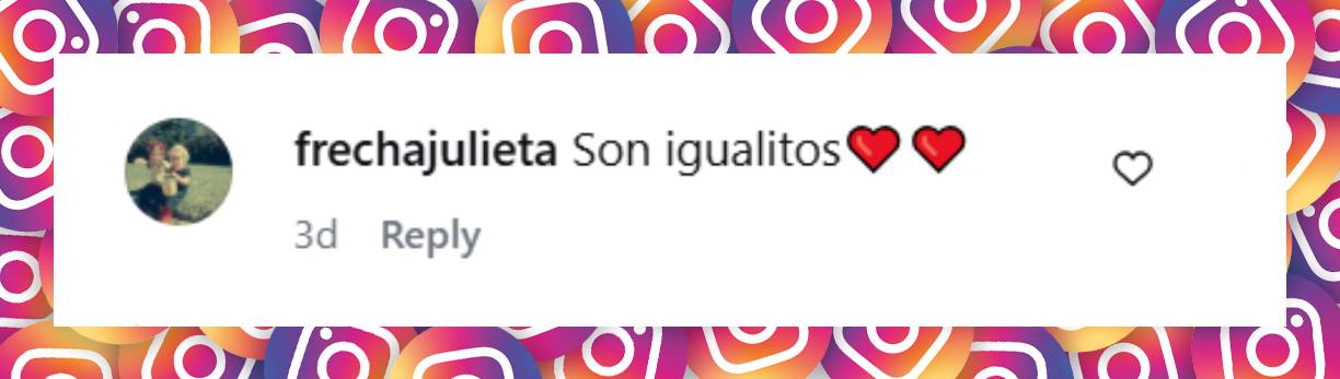 Comentario de una usuaria | Fuente: Instagram/diegotorresmusica
