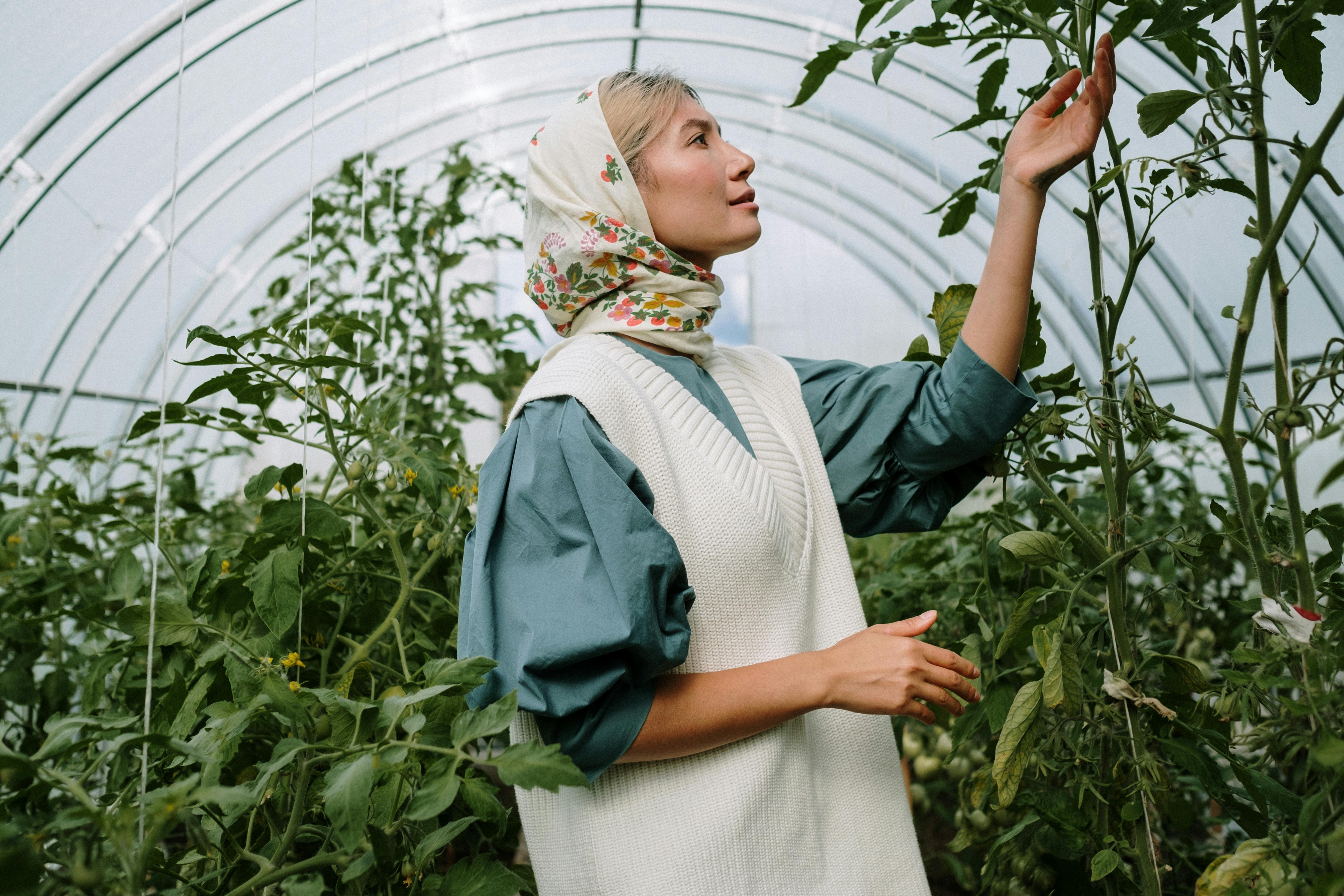 Una mujer revisando las hojas de una planta | Fuente: Pexels