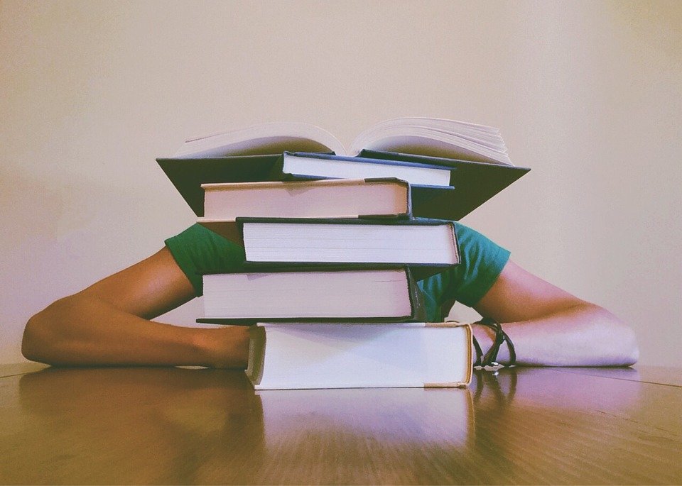 Chica estudiando con libros. | Foto: Pixabay