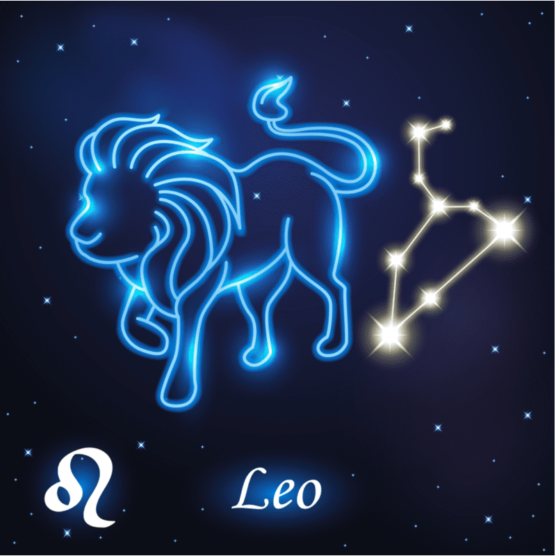 Leo. | Fuente: Shutterstock