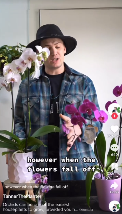 Tanner mirando las plantas que tiene delante en un vídeo de TikTok del 19 de febrero de 2023 | Fuente: TikTok/@tannertheplanter