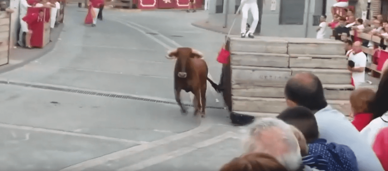 El toro fugitivo corriendo despavorido. | Fuente: YouTube /  Pan Peter
