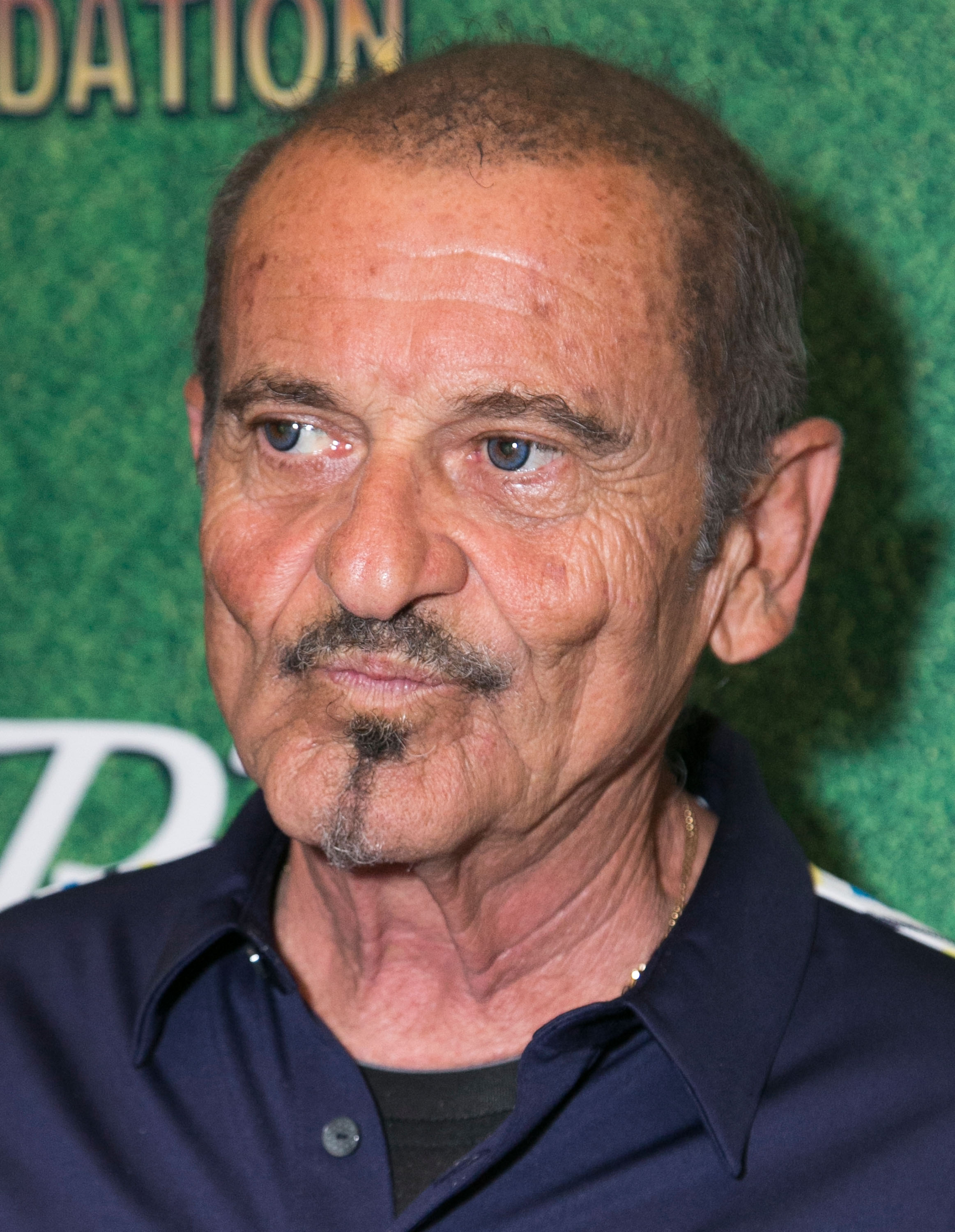 Joe Pesci asiste al salón de regalos del George Lopez Celebrity Golf Classic 2014 en el Lakeside Golf Club el 5 de mayo de 2014 en Burbank, California | Fuente: Getty Images