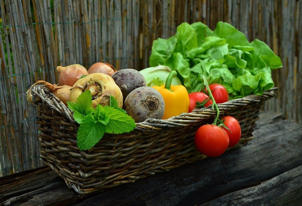 Variedad de verduras. | Imagen: Pixabay