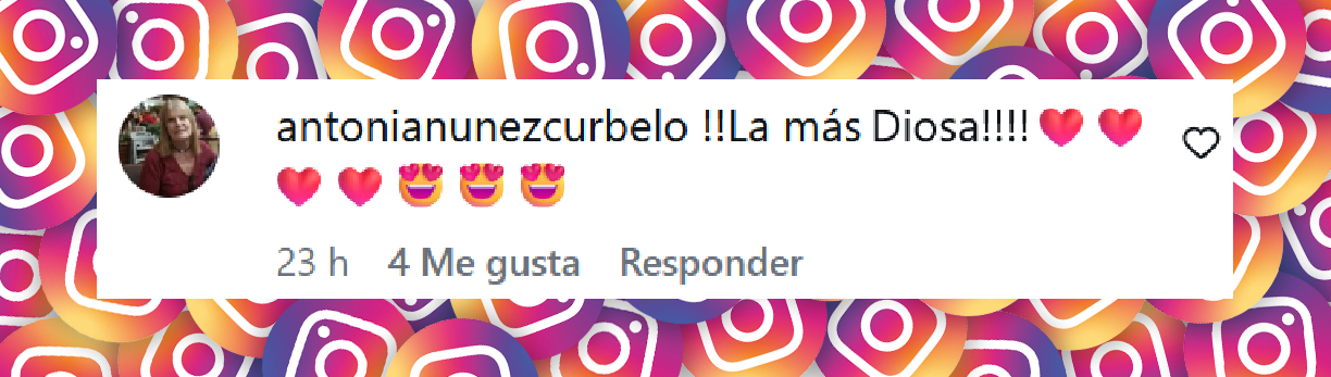 Comentario de una persona sobre las fotografías compartidas por Pampita luciendo una bikini en las playas de Punta Cana | Fuente: Instagram/pampitaoficial