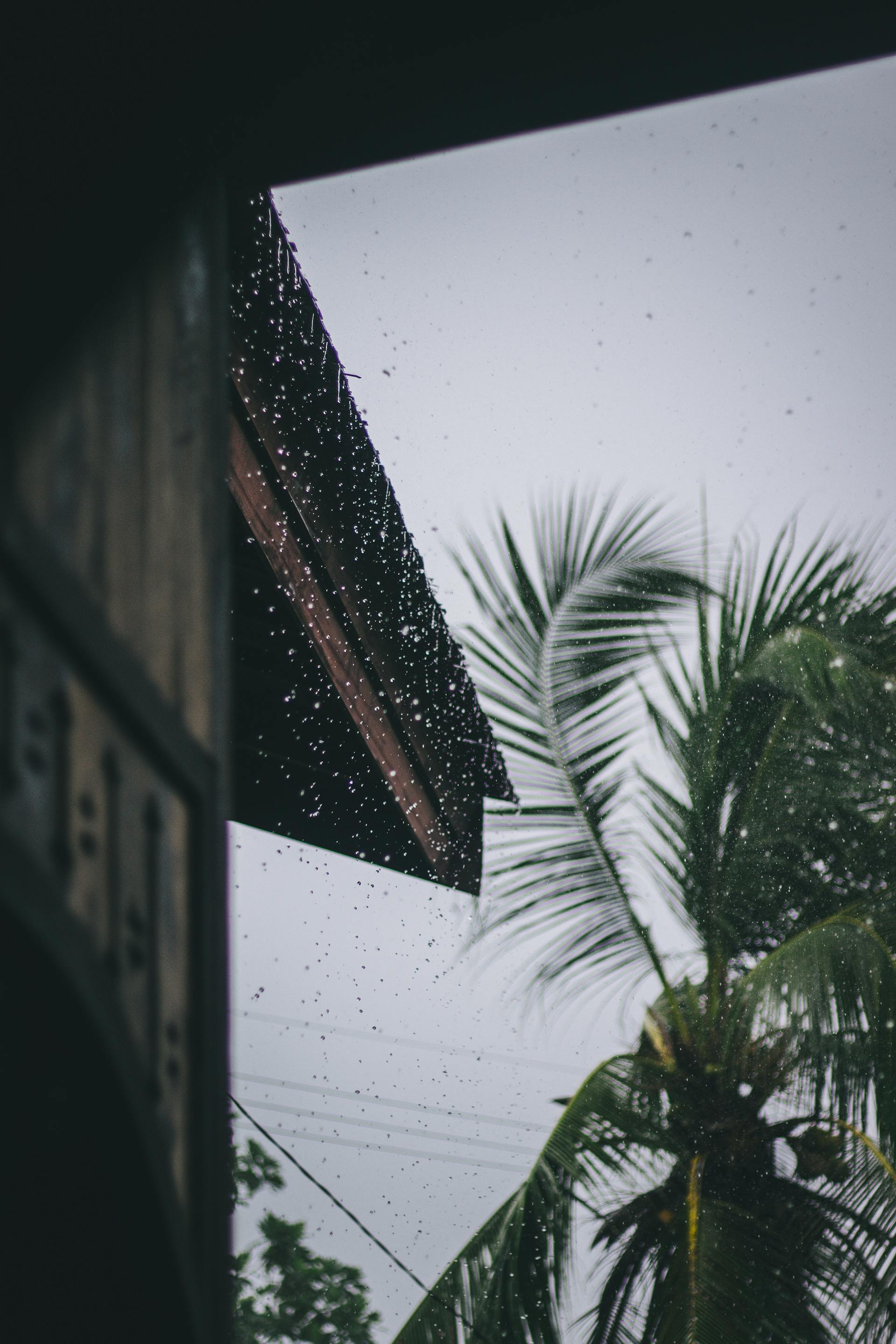 Lluvia cayendo fuera de una casa | Fuente: Pexels