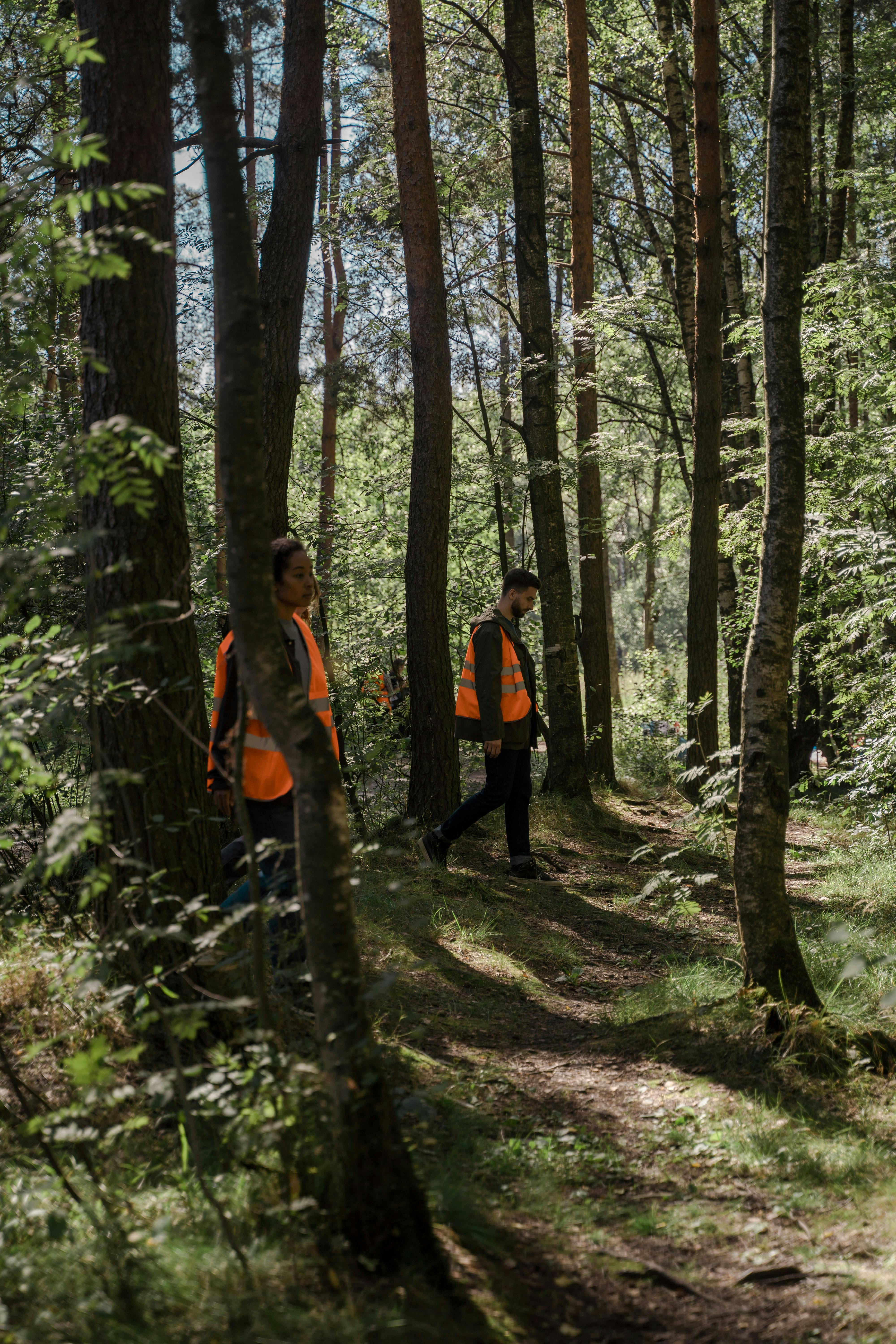 Un grupo de búsqueda atravesando el bosque | Fuente: Pexels