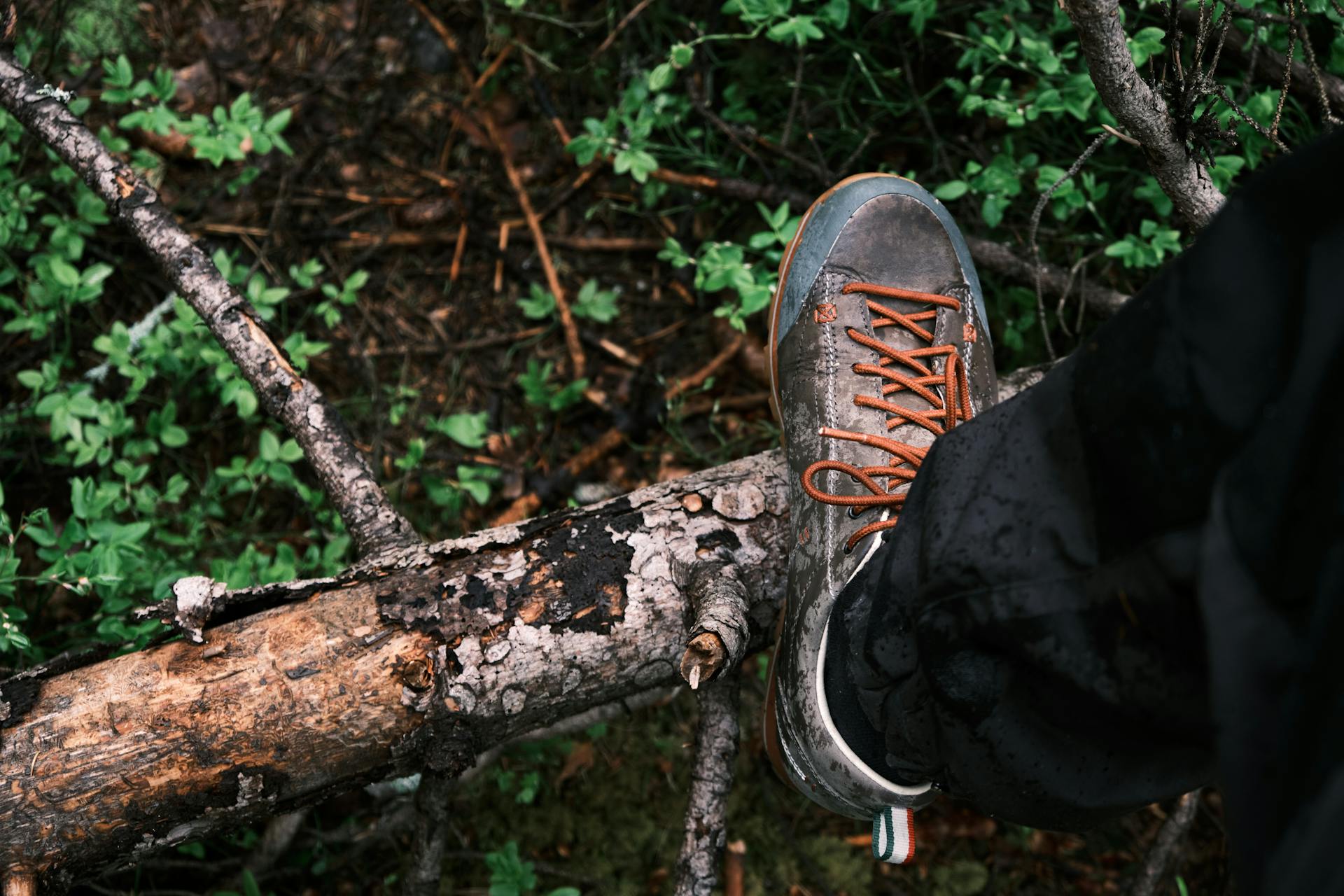 Primer plano del zapato de un hombre en un bosque | Fuente: Pexels