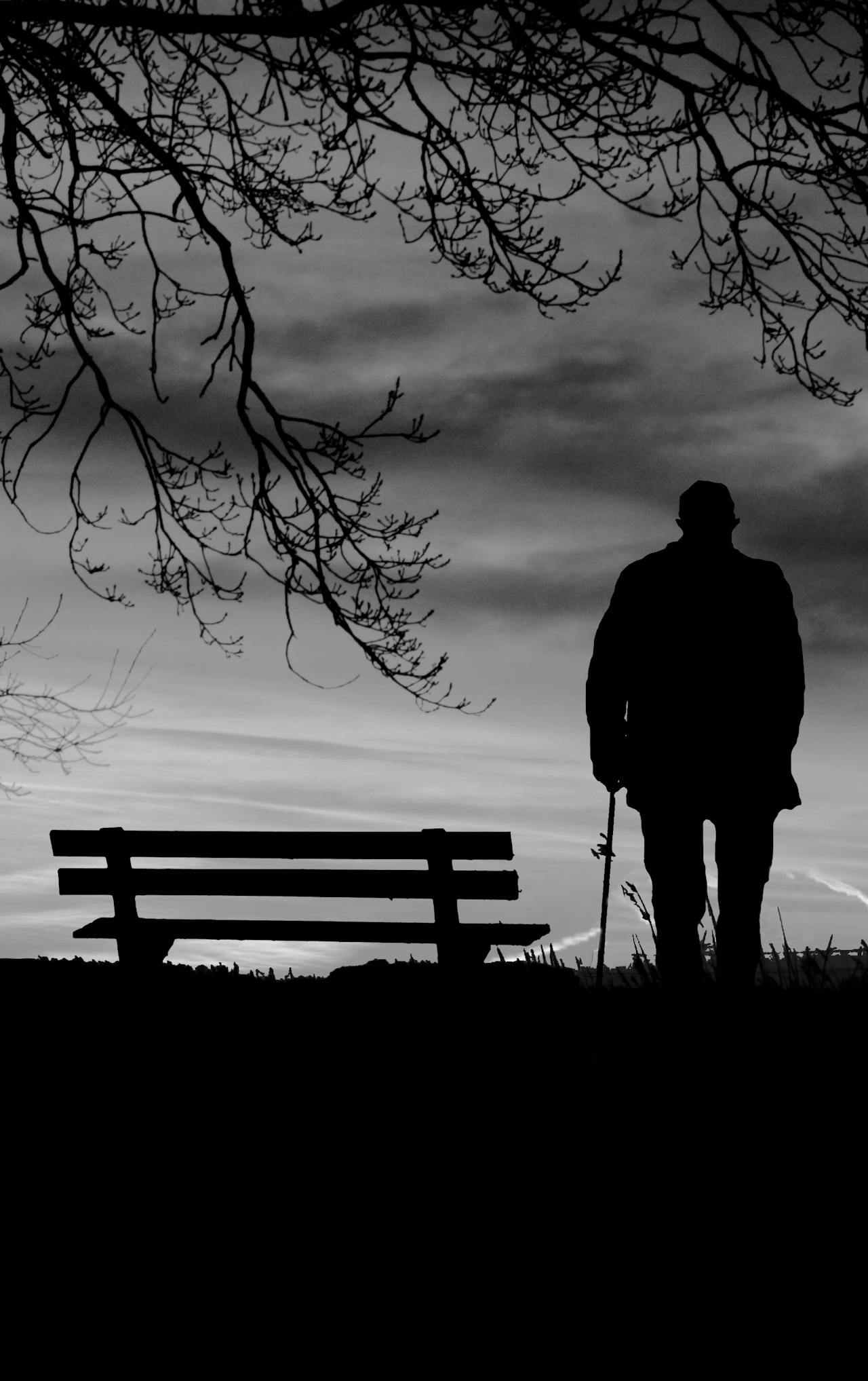 Silueta de un hombre mayor solitario de pie junto al banco | Fuente: Pexels