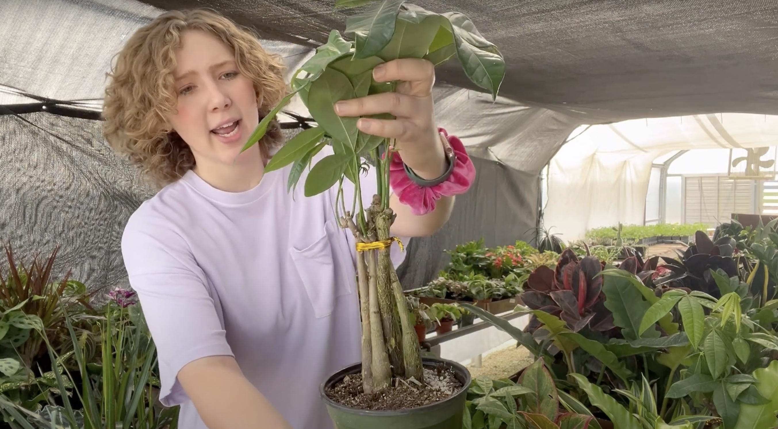 Renata Goossen sosteniendo un árbol del dinero | Fuente: YouTube/Renata's Garden