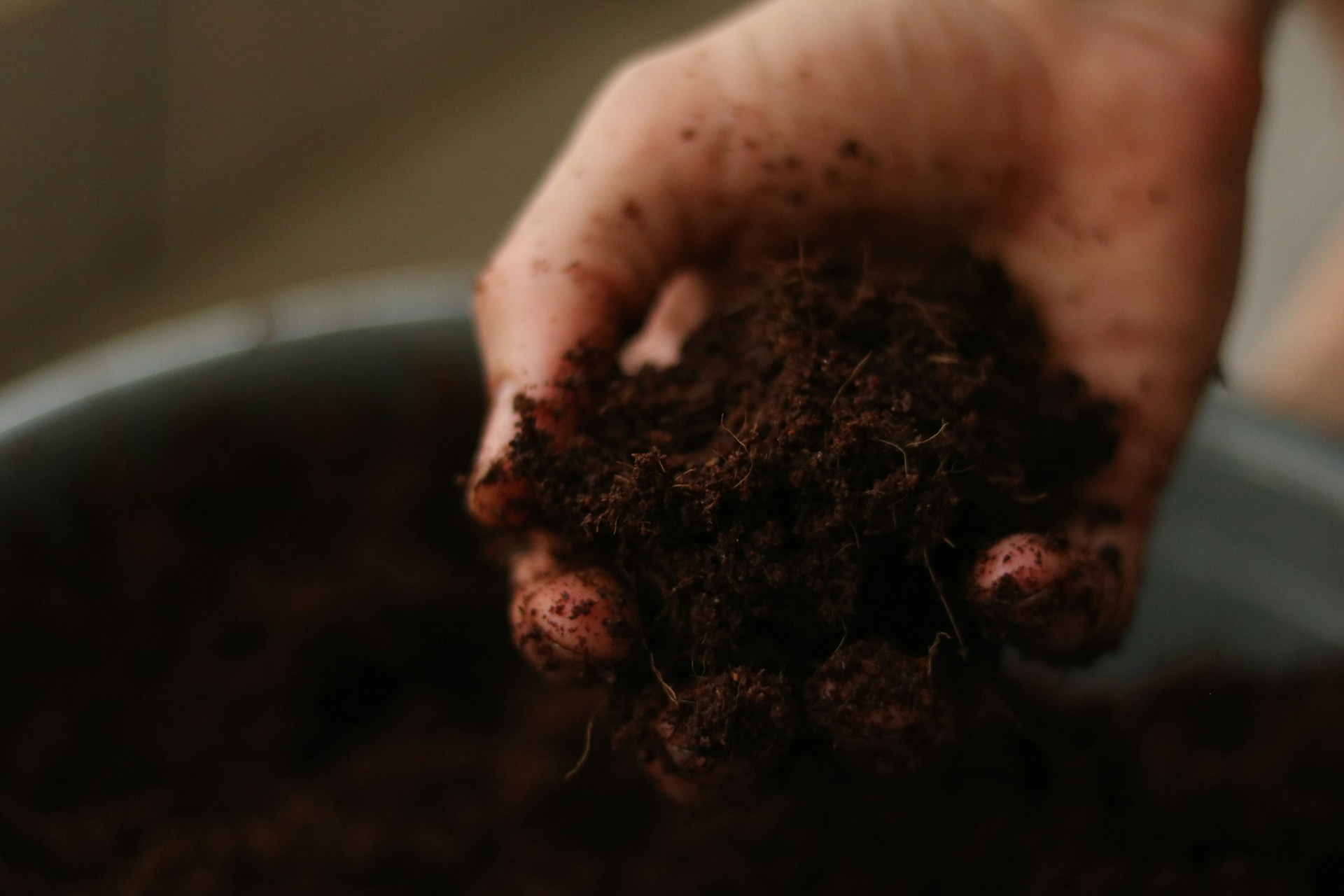 Una persona añadiendo tierra a una maceta | Fuente: Unsplash