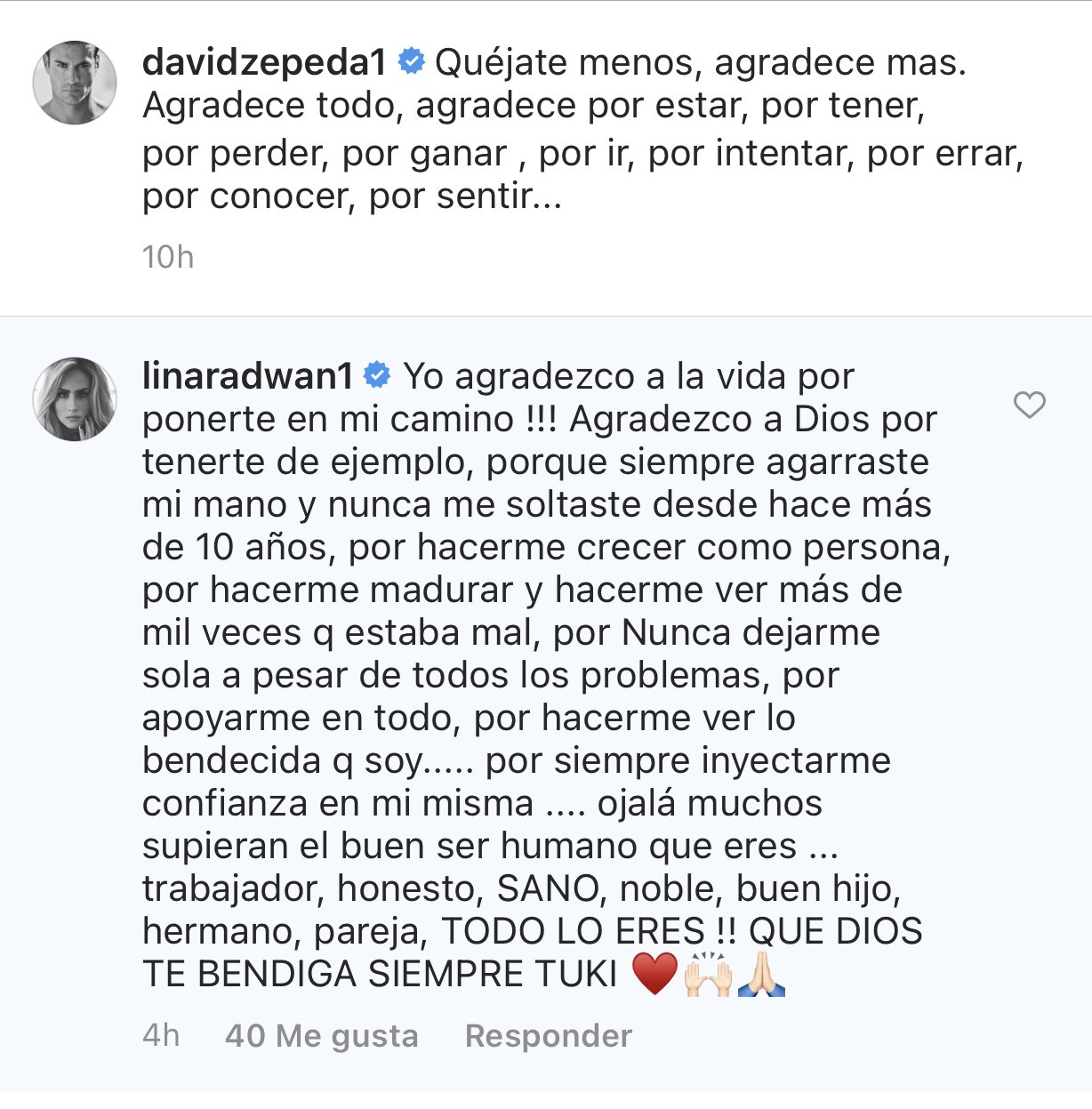 Comentario que Lina dejó a David. | Foto: Captura de pantalla de Instagram/Davidzepeda1