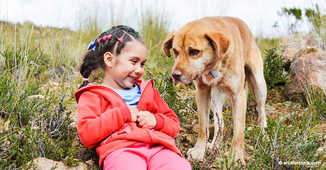 Dos perros muestran asombrosa reacción salvando vidas de pequeños niños de menos de 6 años