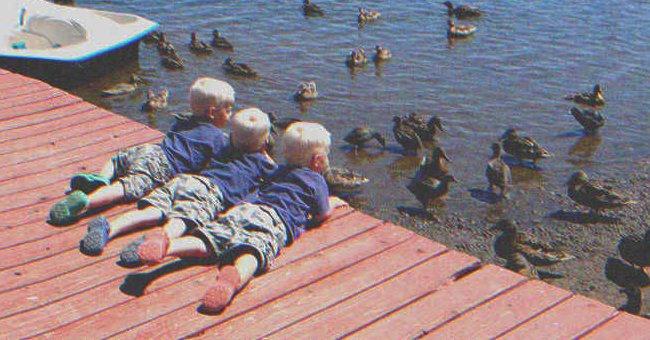 Tres niños mirando patos | Foto: Shutterstock