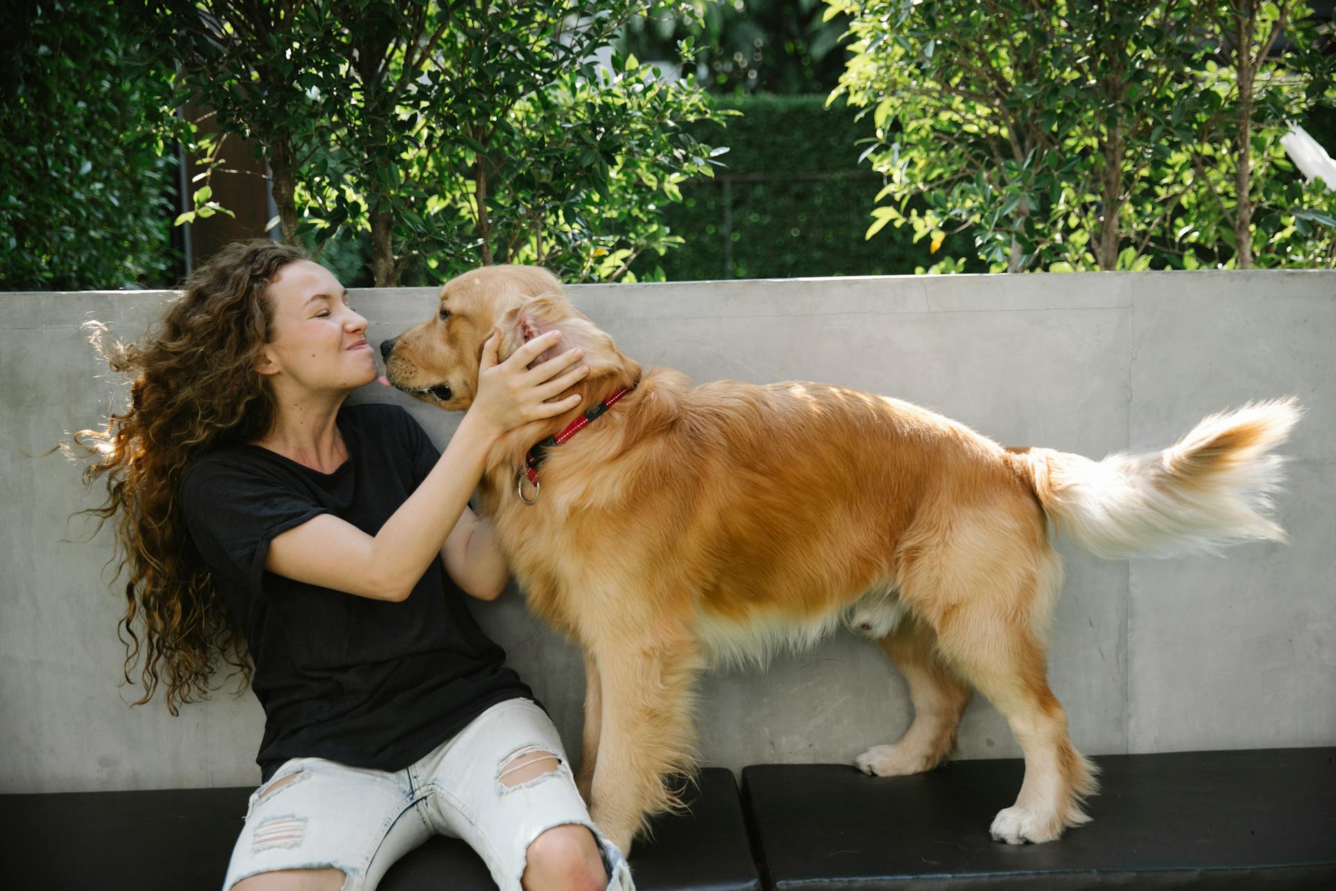 Una mujer mimando a un Golden Retriever | Fuente: Pexels