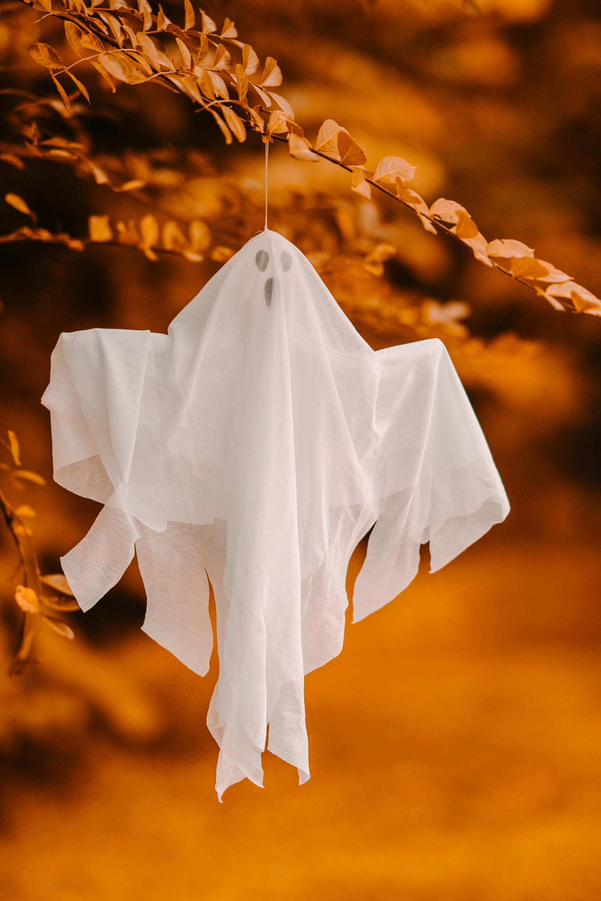 Adorno decorativo de fantasma de Halloween colgado de una rama | Fuente: Pexels