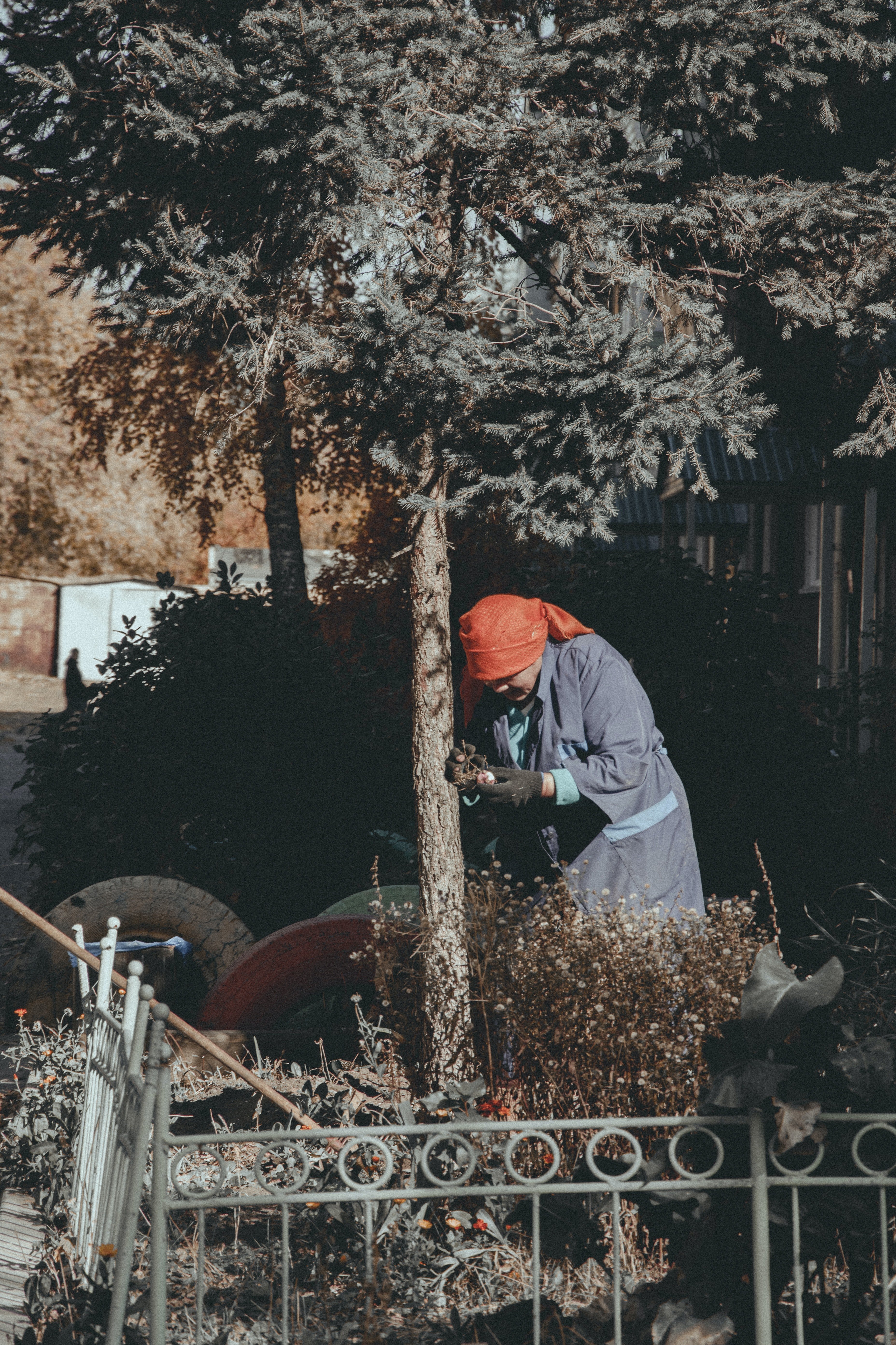 Una mujer mayor limpiando en un parque. | Foto: Pexels