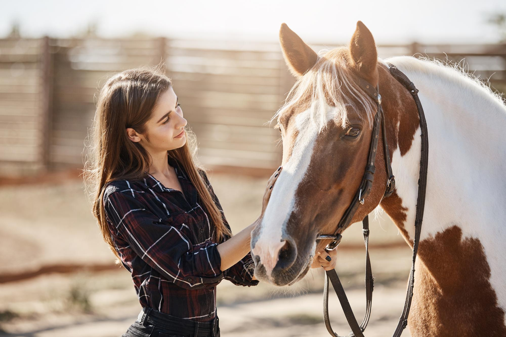 Una mujer acariciando a un caballo | Fuente: Freepik