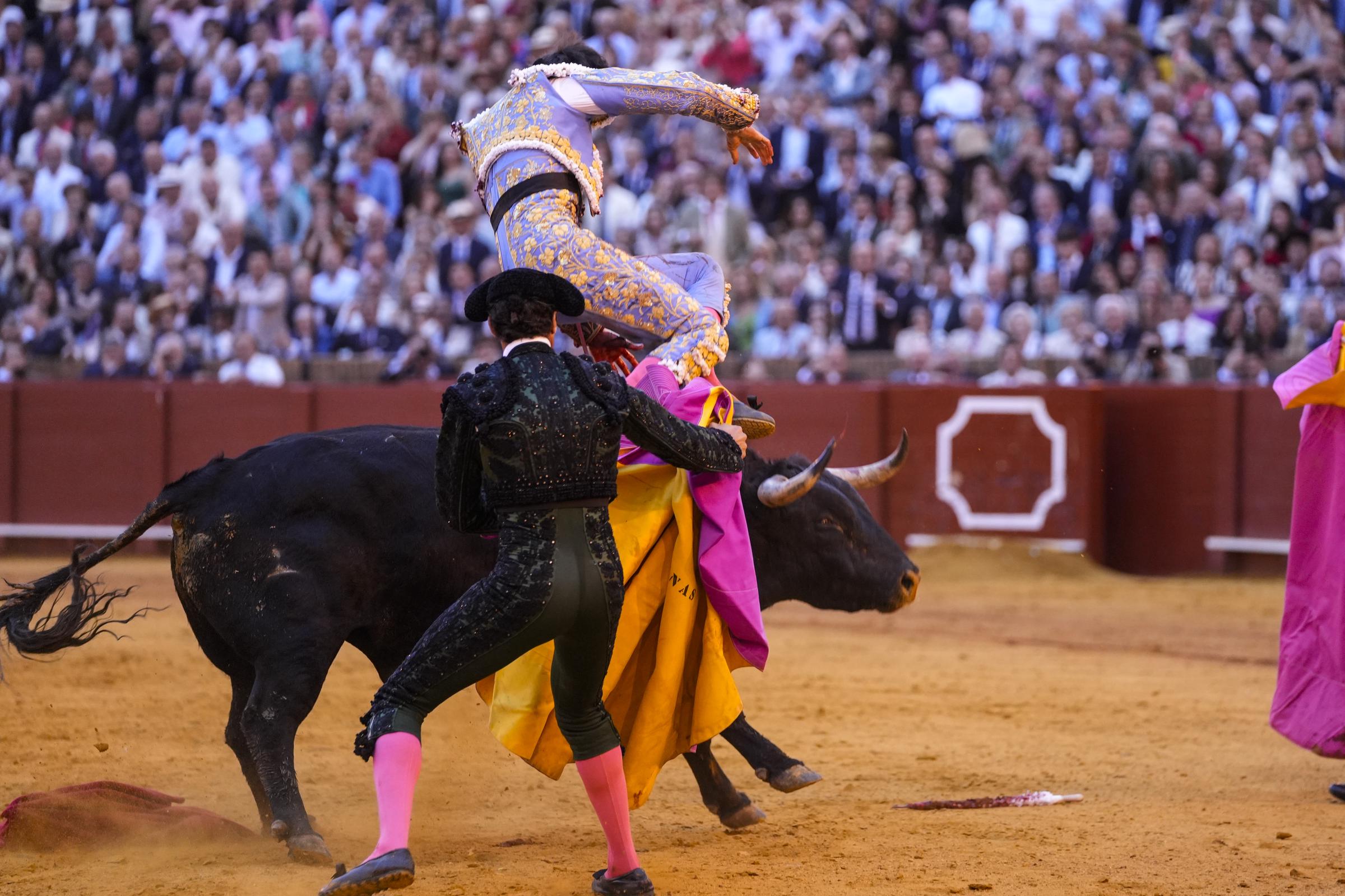 El torero Roca Rey es embestido por el quinto toro de la tarde en la decimotercera corrida de toros de la temporada taurina, el 23 de abril de 2026 en Sevilla, España. | Fuente: Getty Images