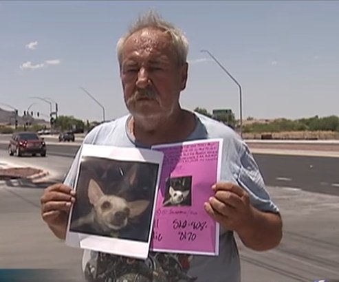 Eddie Collins busca desesperadamente a su chihuahua. | Foto: YouTube/News 4 Tucson KVOA-TV