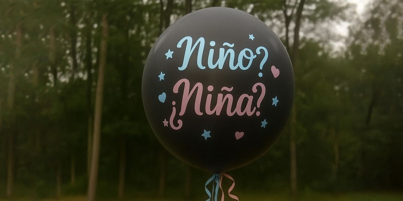 Globo para revelar el sexo | Fuente: Amomama