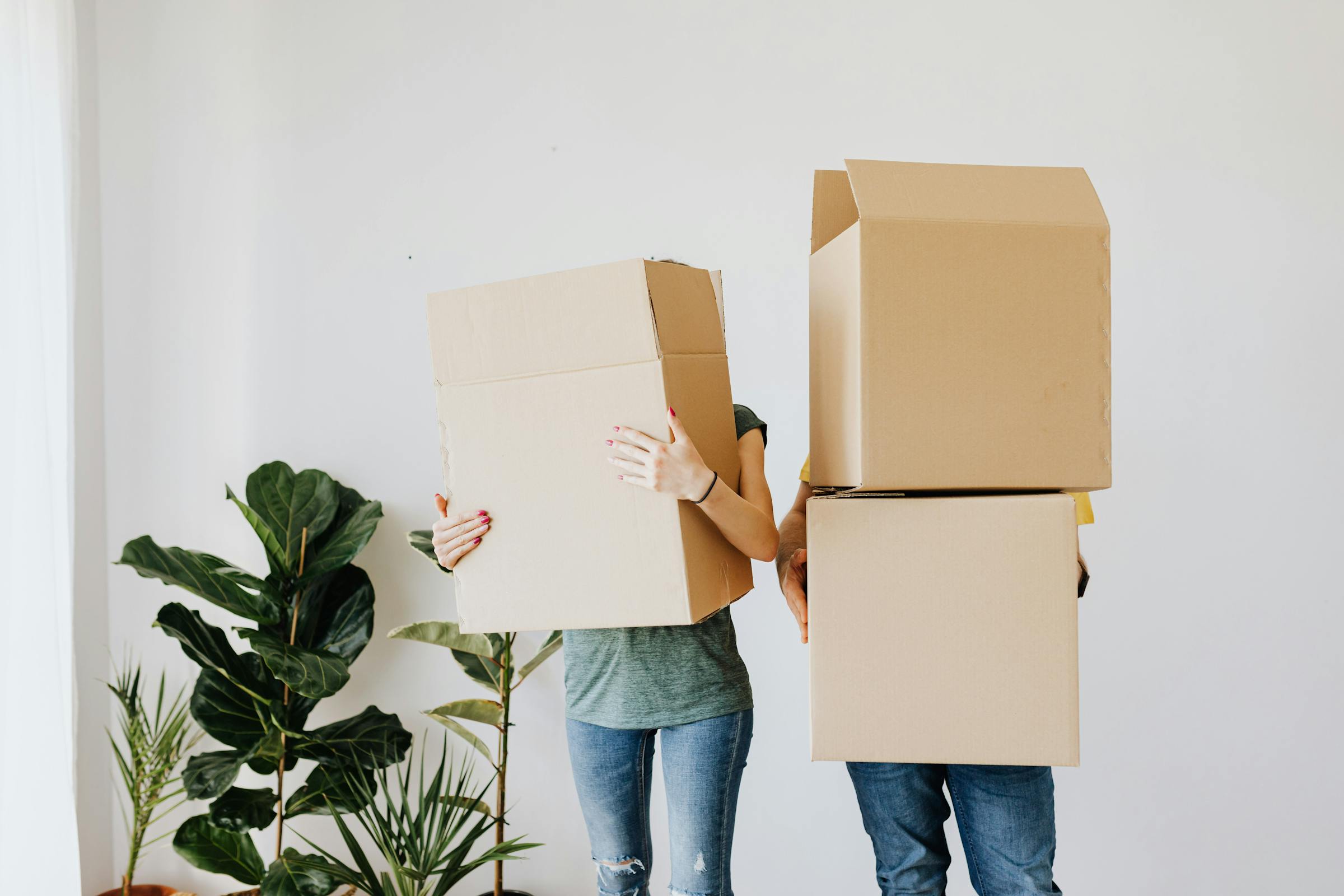 Dos personas moviendo cajas | Fuente: Pexels