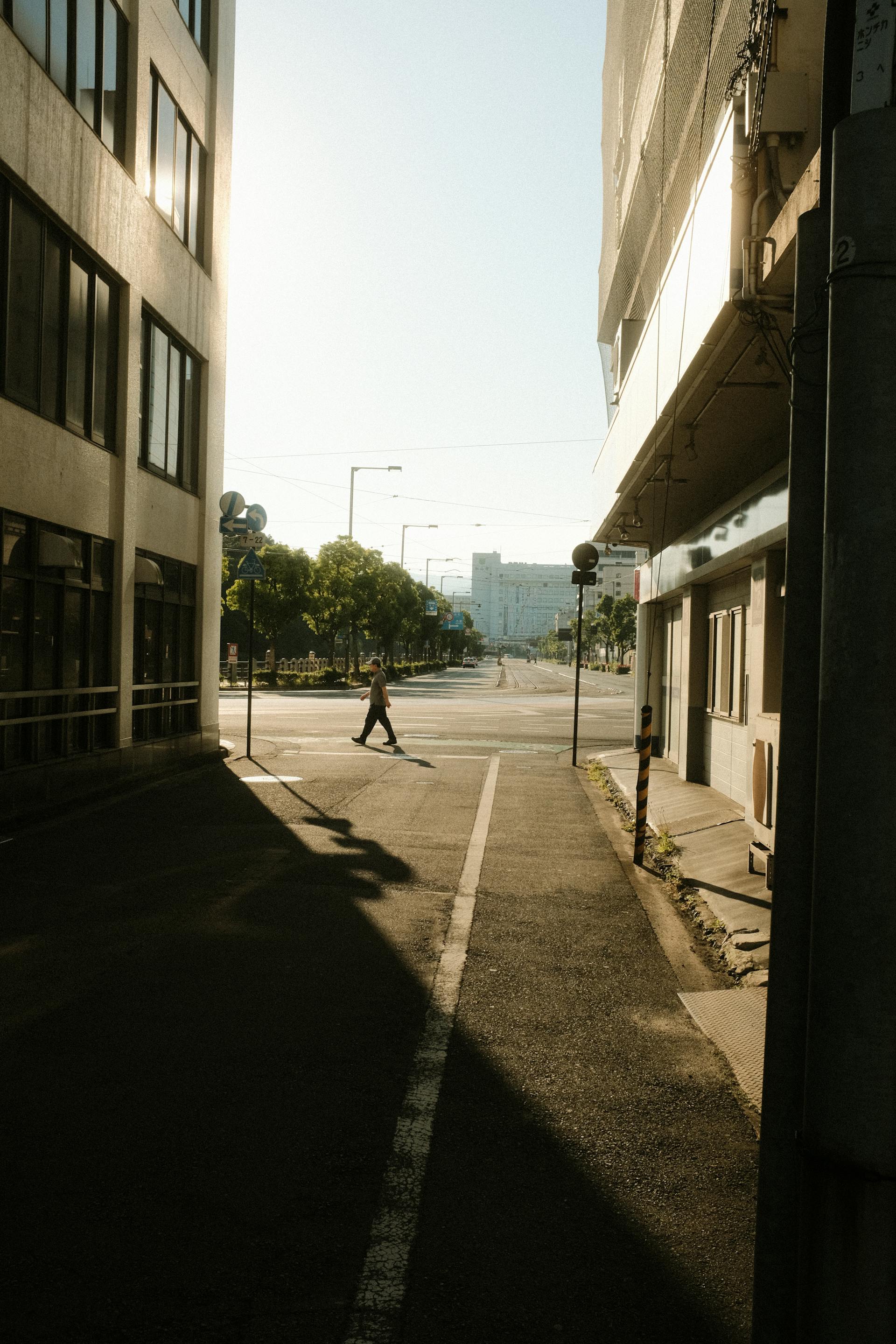 Una calle bañada por la luz del sol | Fuente: Pexels