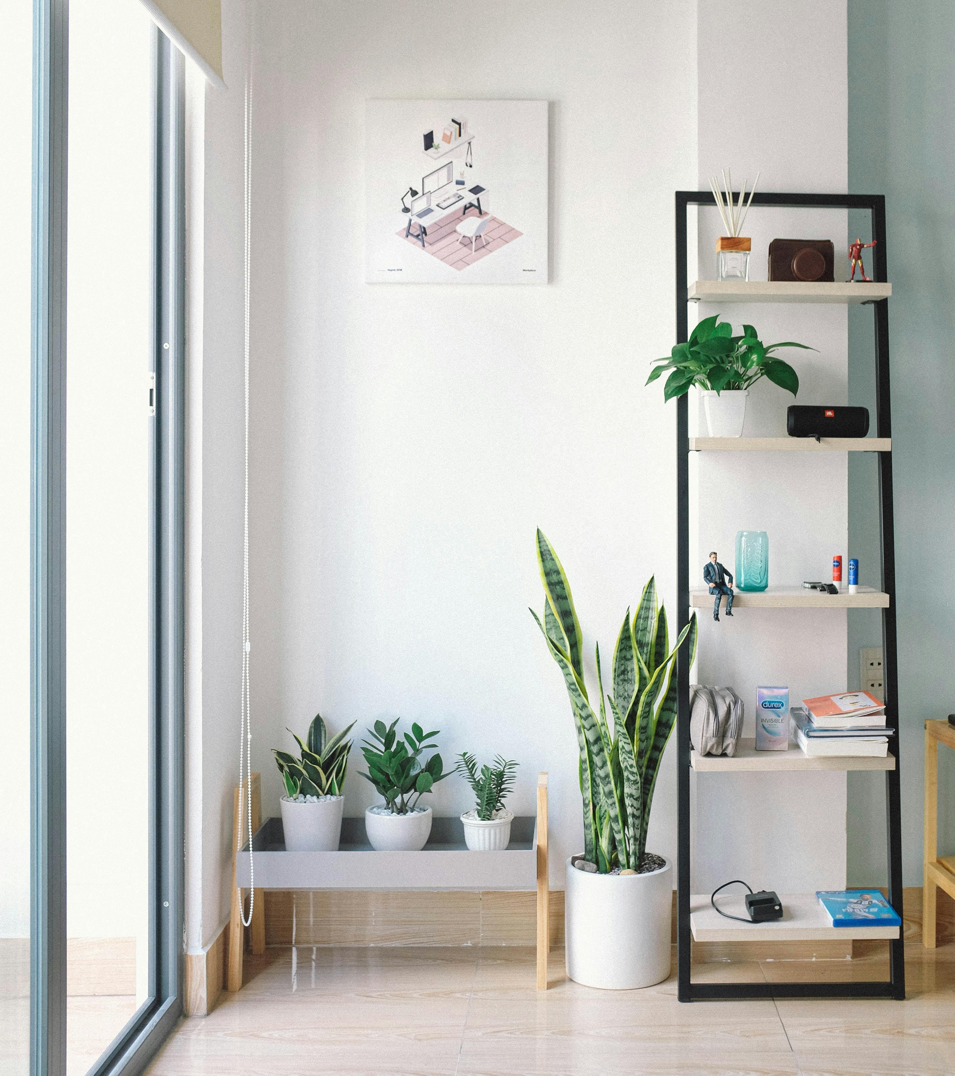 Un apartamento lleno de plantas | Fuente: Pexels