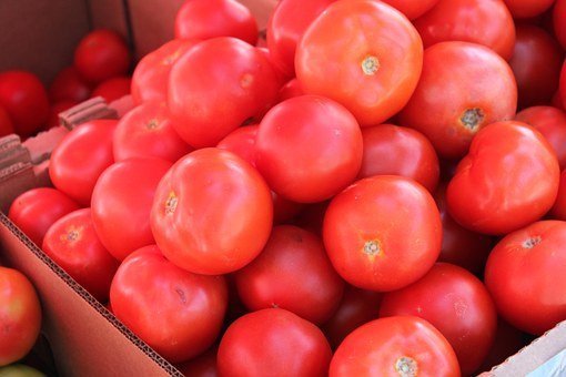 Tomates. Fuente: Pexels