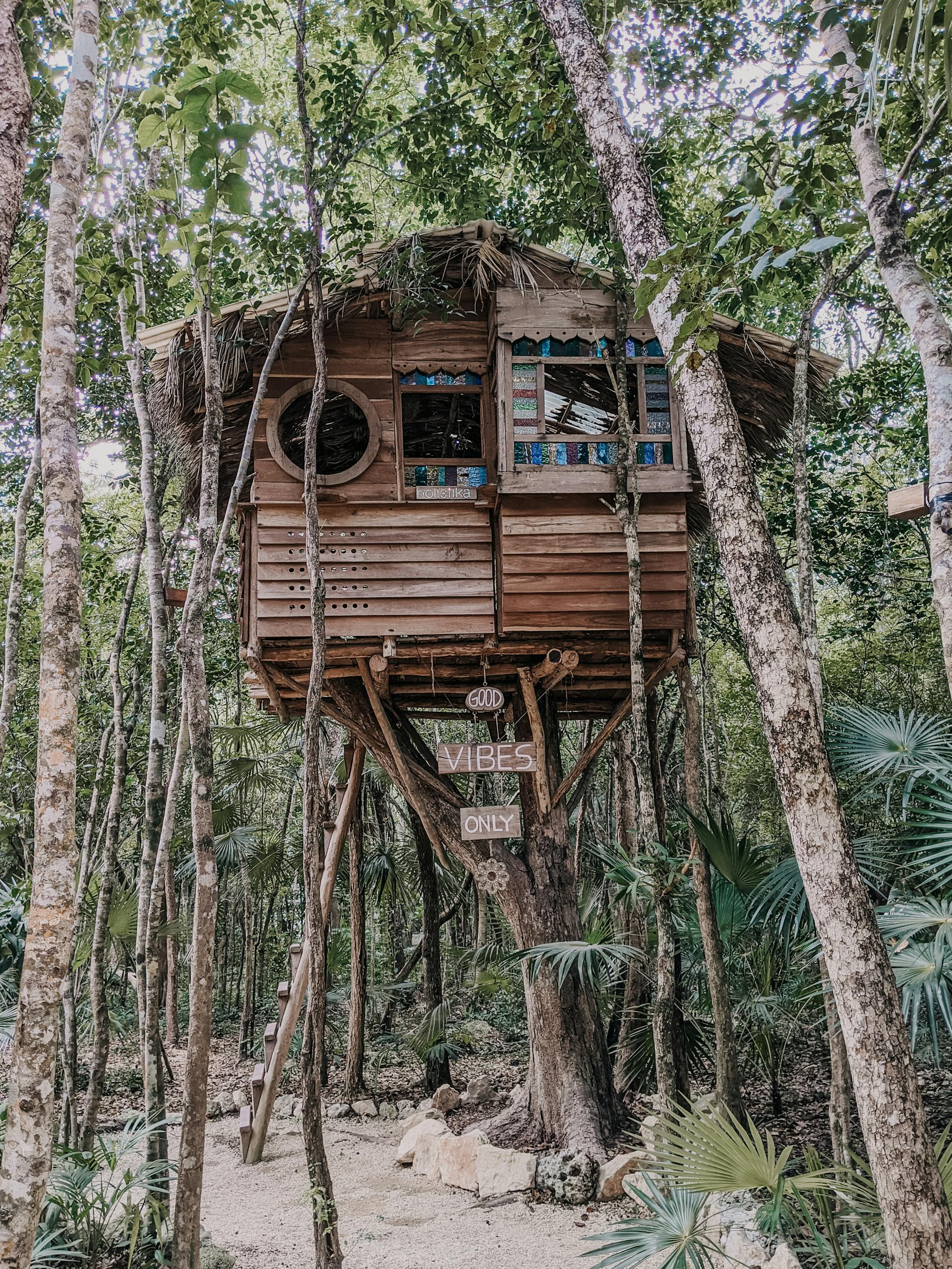 Una casa en el árbol | Fuente: Pexels