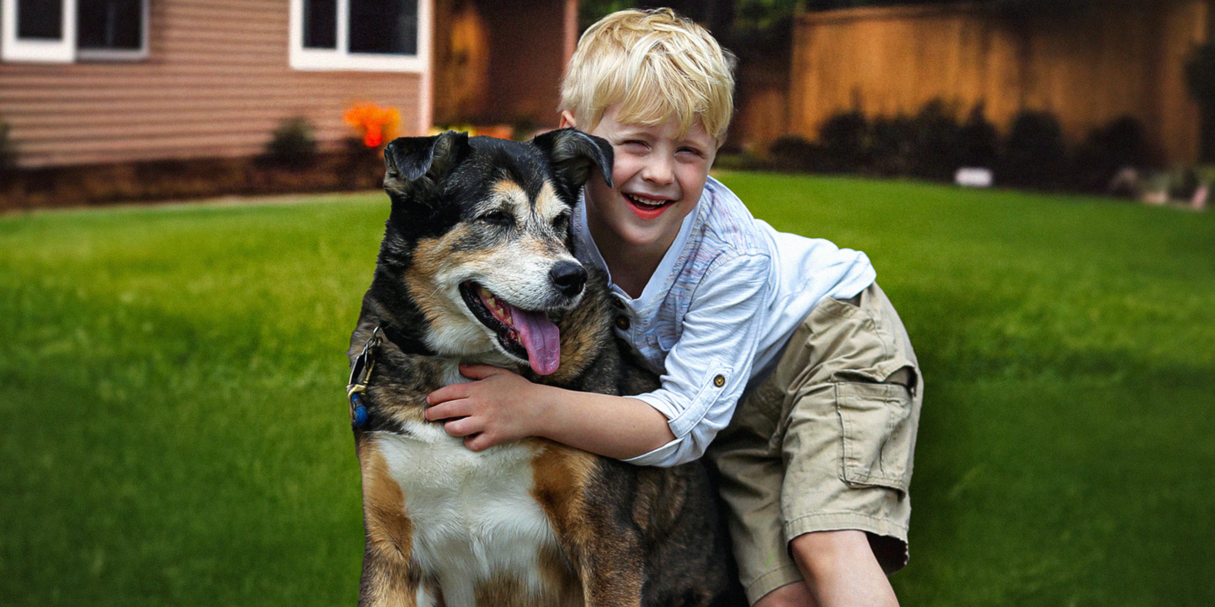 Un niño y su perro | Fuente: Shutterstock