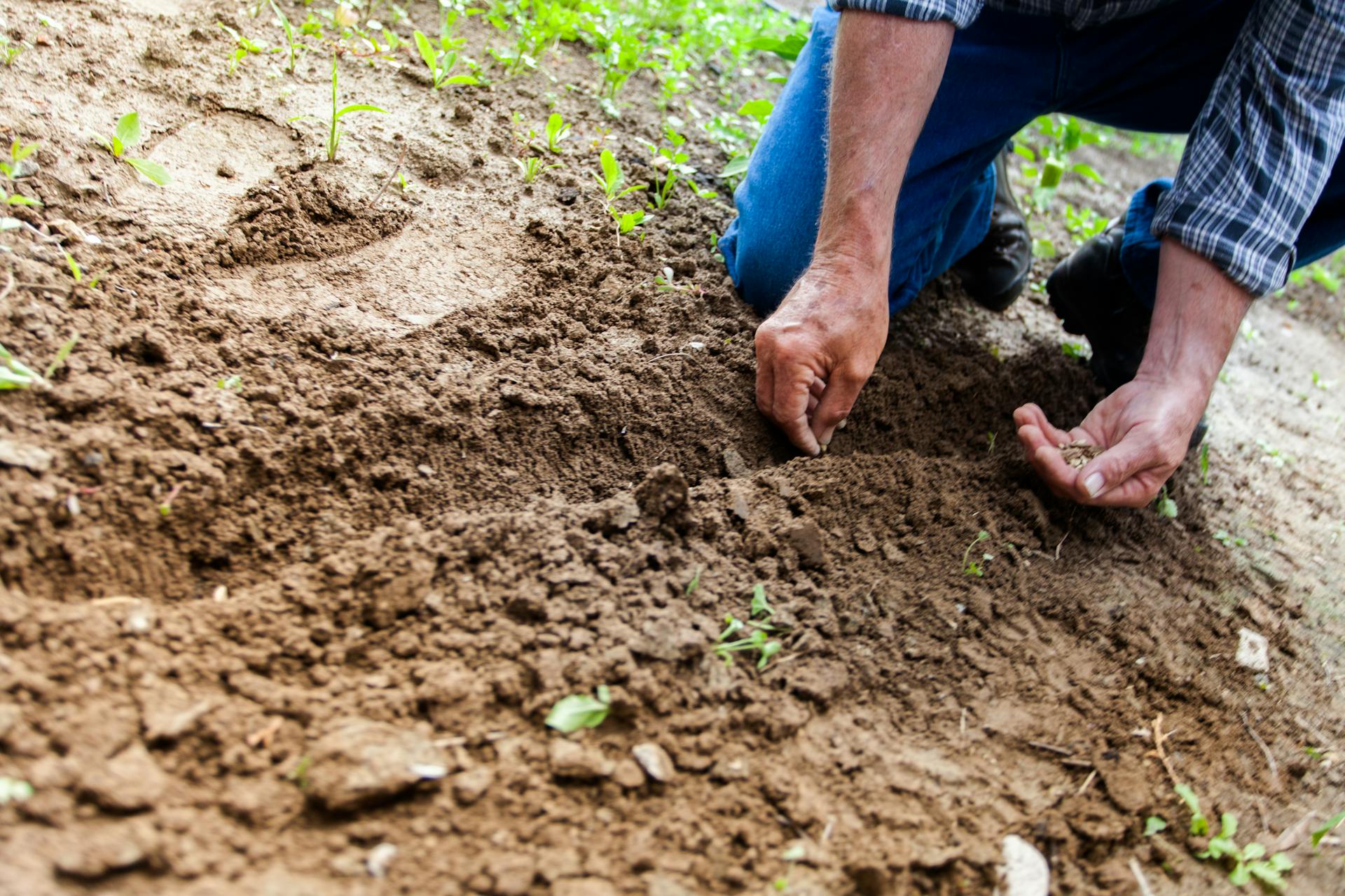 Una persona trabajando en su jardín | Fuente: Pexels