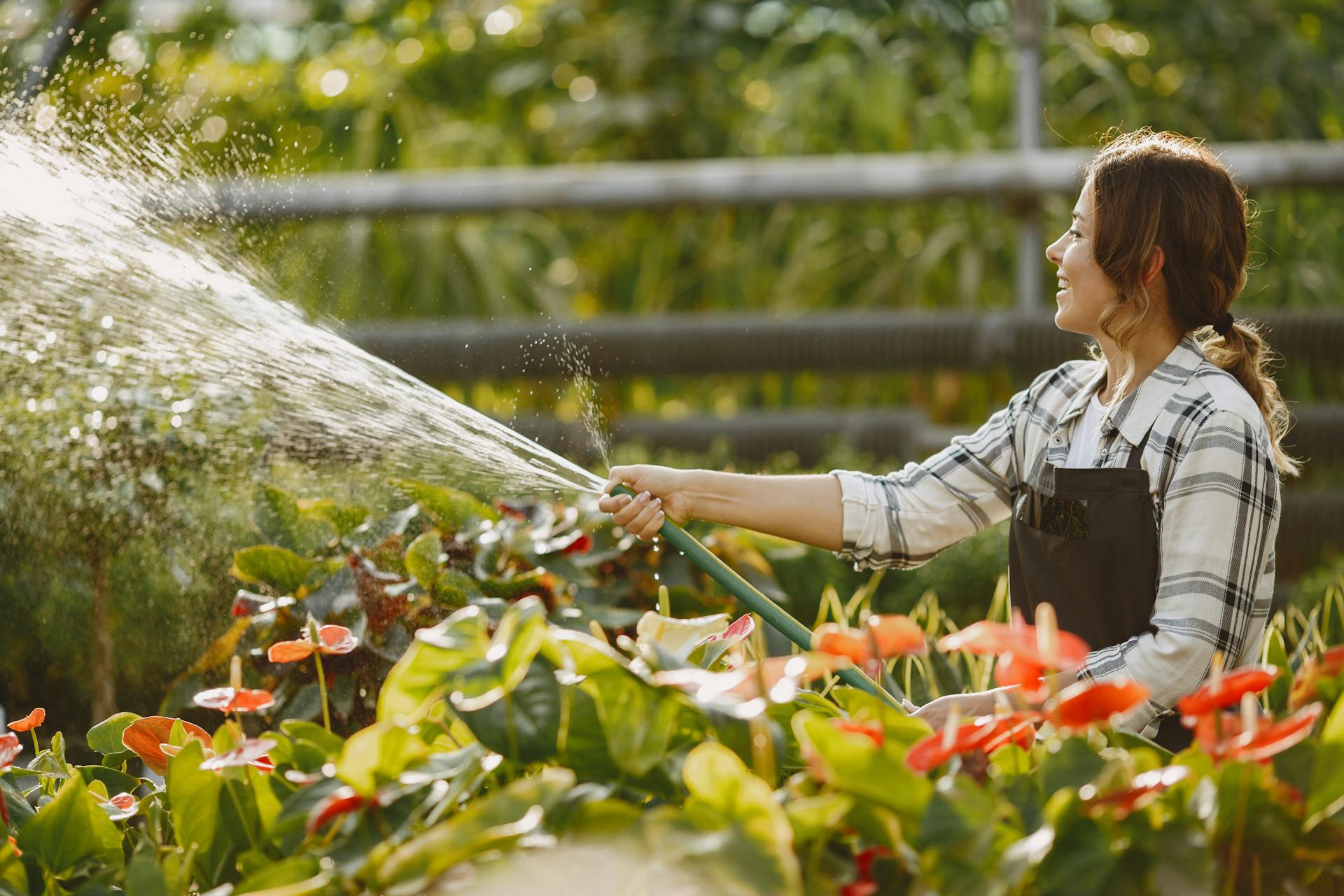 Una mujer regando plantas | Fuente: Pexels