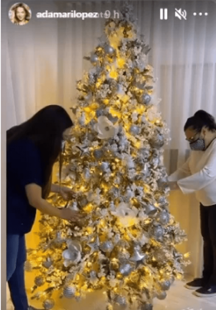 Árbol de Navidad iluminado de Adamari López. | Foto: Instagram/adamarilopez
