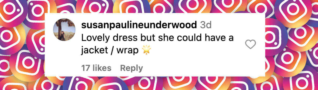 Comentario de un internauta sobre el vestido rosa sedoso de Harper Beckham publicado el 2024 de septiembre | Fuente: Instagram/hellocanadamag