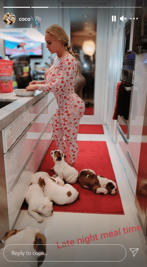 Una foto de Coco Austin en pijama mientras prepara la cena con sus cachorros tirados en el suelo. | Foto: Instagram / Coco