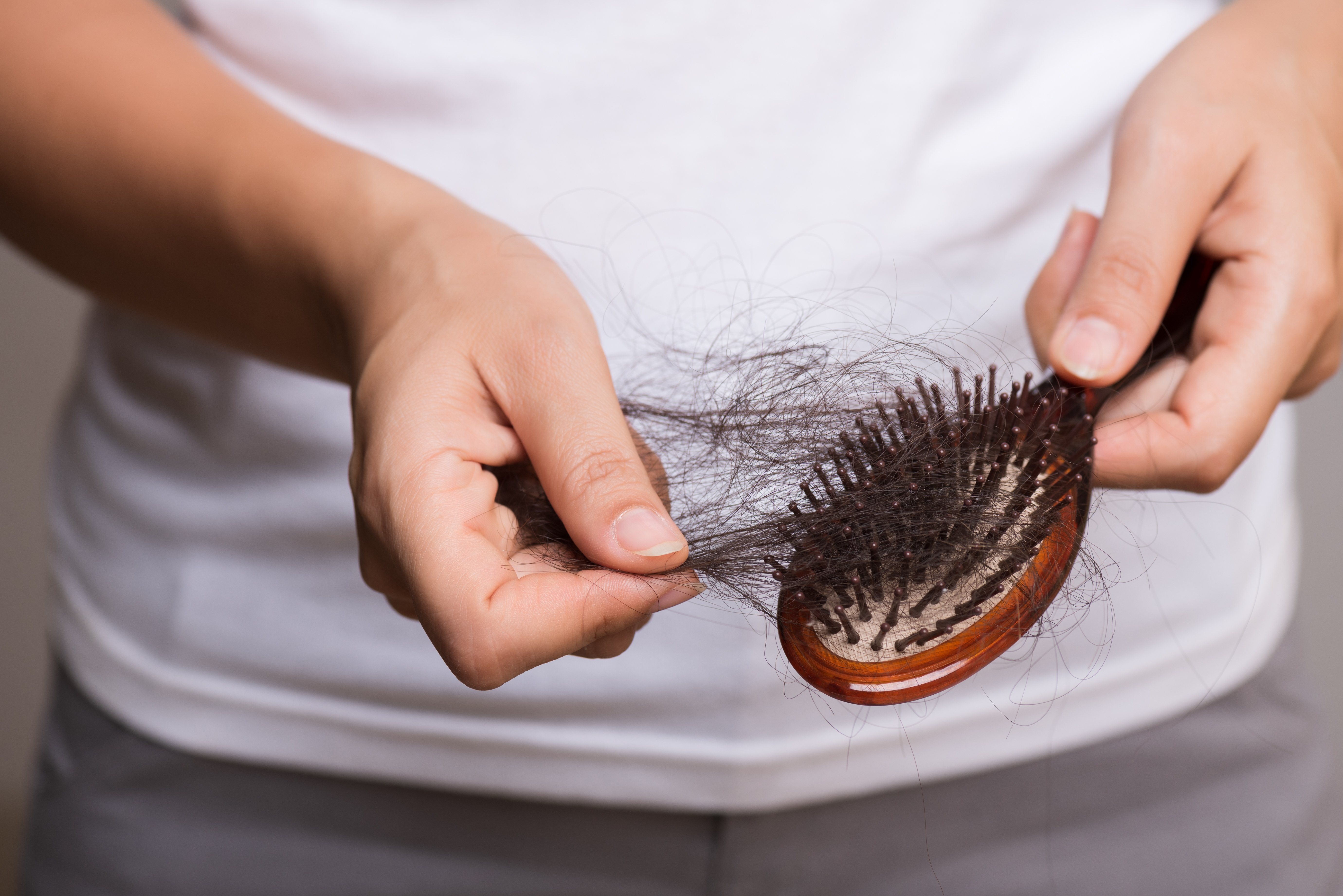 Cepillo con cabello oscuro. Fuente: Shutterstock