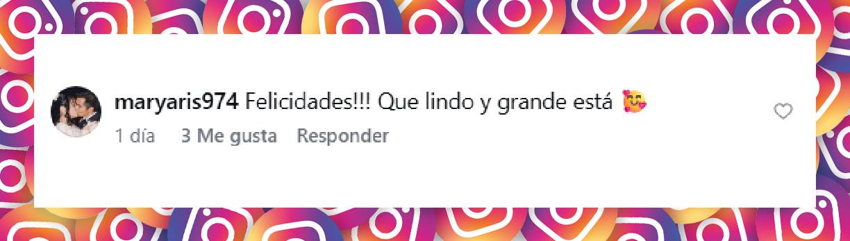 Comentario de una usuaria | Fuente: Instagram/elchatoprada