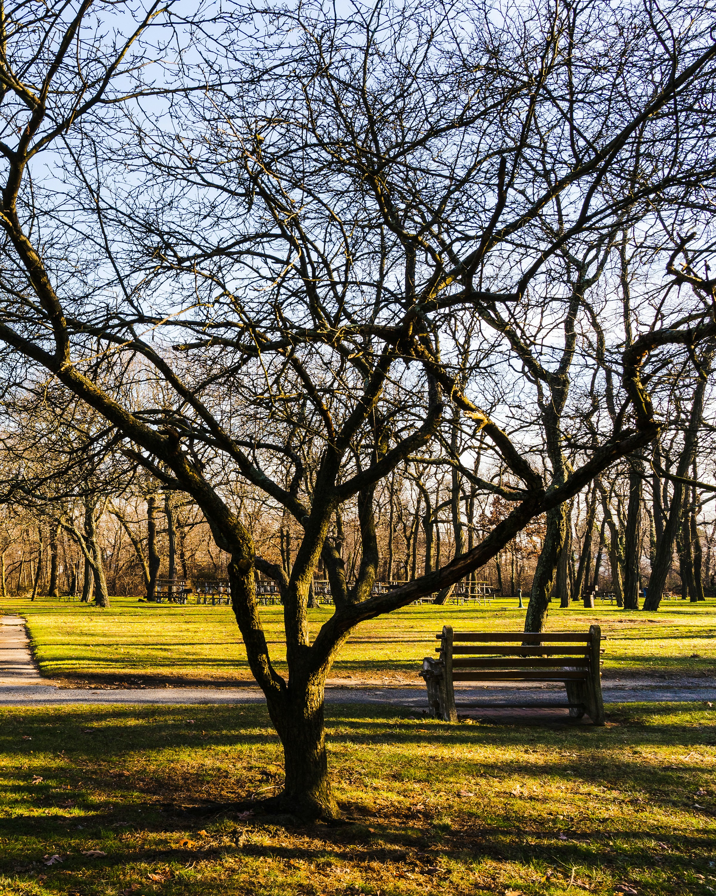 Un banco de madera en un parque | Fuente: Unsplash