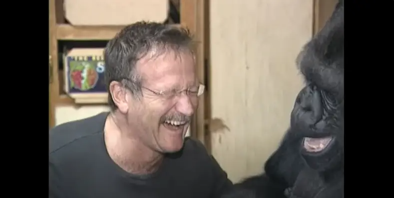 Robin Williams y Koko en 2001 | Fuente: YouTube/kokoflix