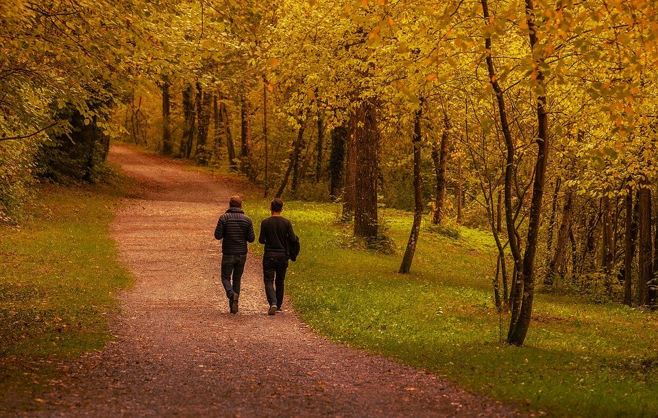 Dos hombres caminan por el sendero de un bosque. | Foto: Pixabay