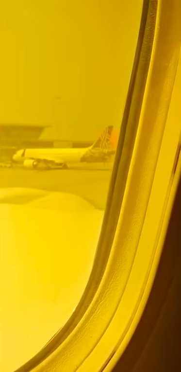 El ala del avión desde la ventanilla interior. | Foto: YouTube/New York Post