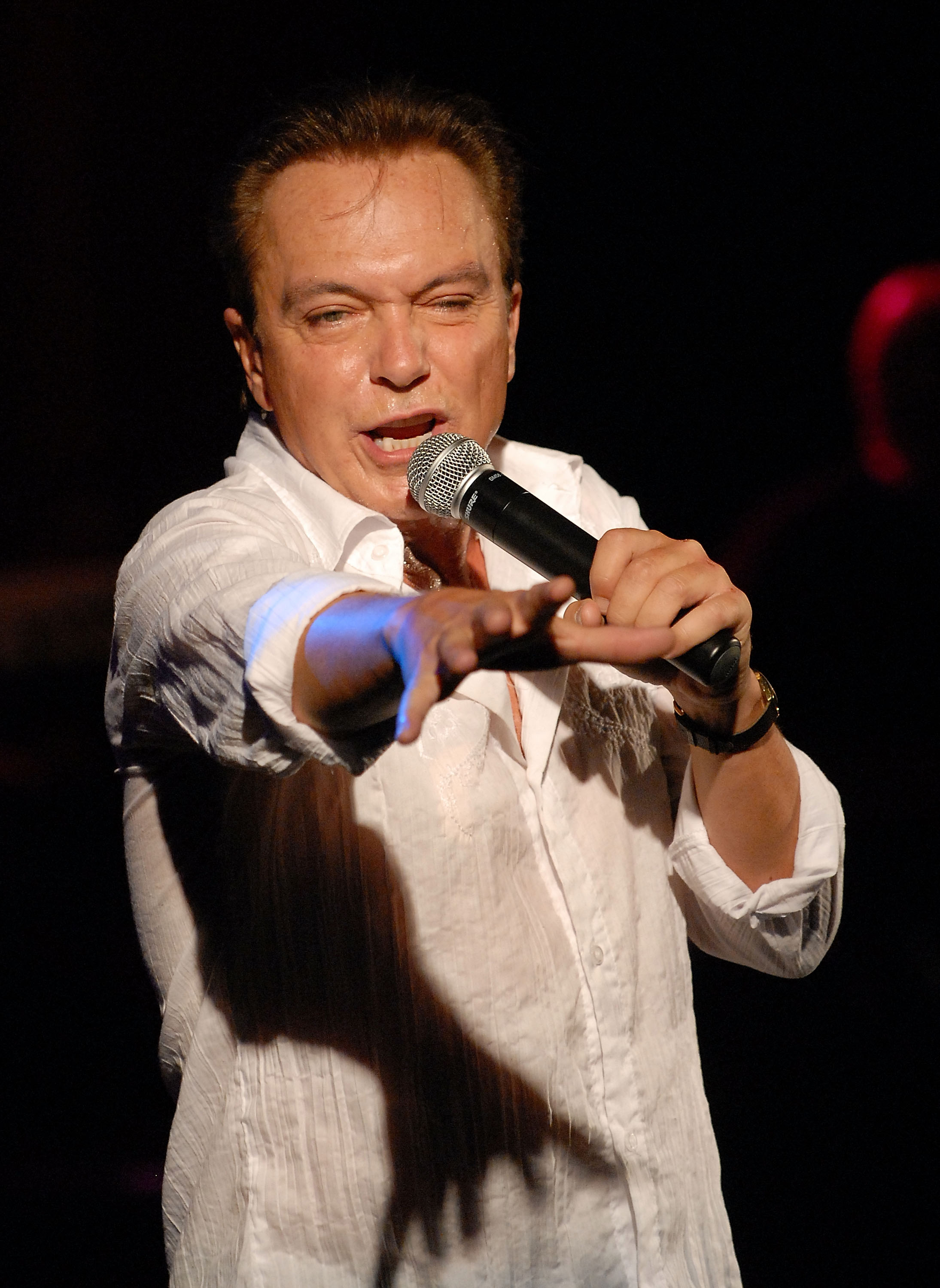 David Cassidy actúa en el concierto "The Ultimate Idols" el 13 de septiembre de 2008, en Staten Island, Nueva York. | Fuente: Getty Images