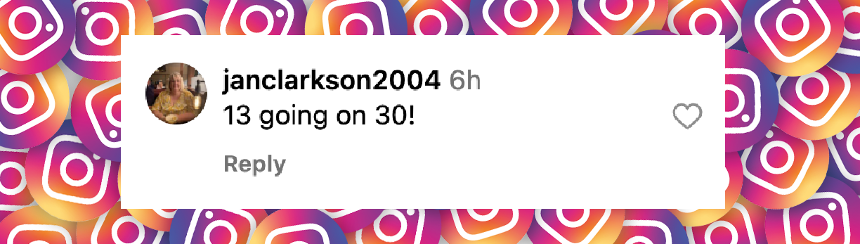 Comentario de un internauta sobre el vestido rosa sedoso de Harper Beckham publicado el 2024 de septiembre | Fuente: Instagram/hellocanadamag