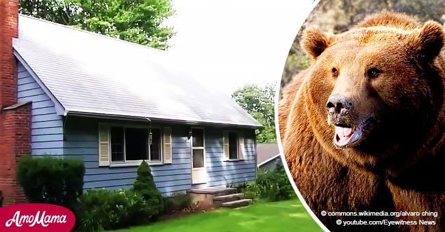 Mujer se despertó en su cama y vio un gran oso en su habitación que pudo matarla